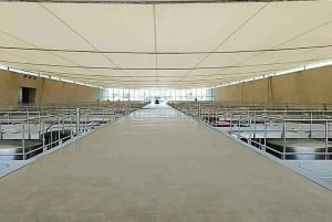 Private Weintour Ganzheitliches Erlebnis Viña Vik