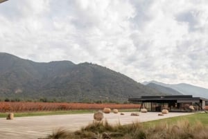 Private Weintour Ganzheitliches Erlebnis Viña Vik