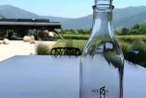 Private Weintour Ganzheitliches Erlebnis Viña Vik