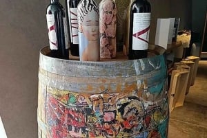 Private Weintour Ganzheitliches Erlebnis Viña Vik