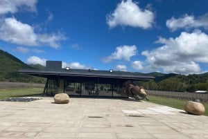 Private Weintour Ganzheitliches Erlebnis Viña Vik