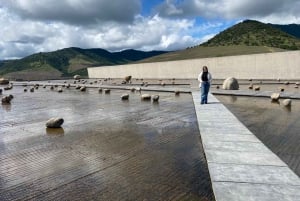 Private Weintour Ganzheitliches Erlebnis Viña Vik