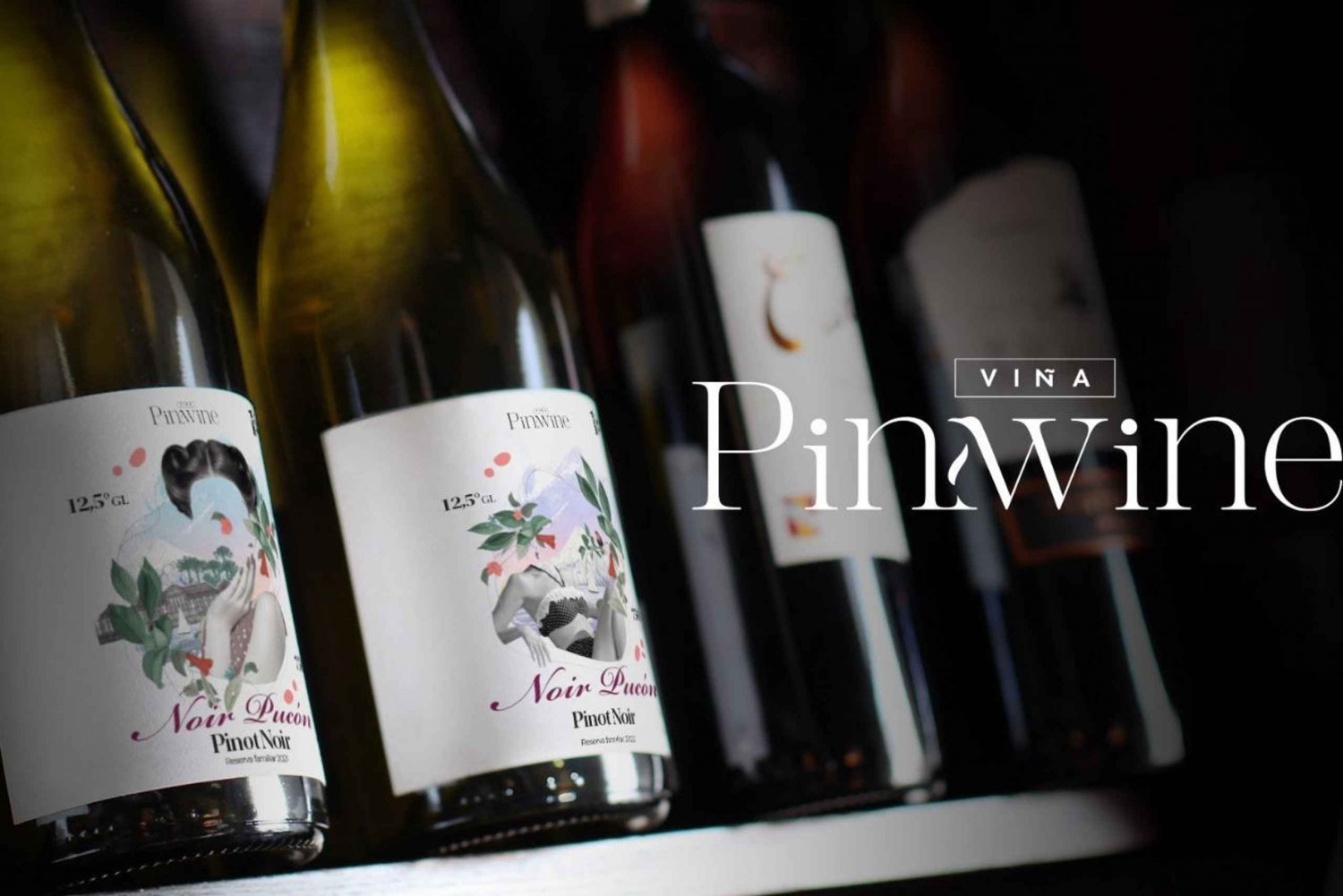 Wine Tour with tasting at Pucón's first winery