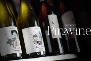 Tour de vinhos com degustação na primeira adega de Pucón