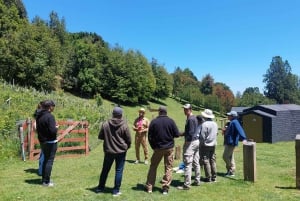 Tour de vinhos com degustação na primeira adega de Pucón