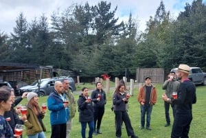 Tour de vinhos com degustação na primeira adega de Pucón