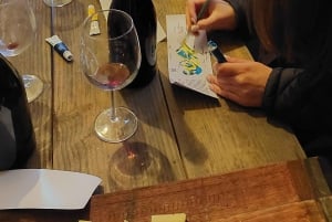 Tour de vinhos com degustação na primeira adega de Pucón