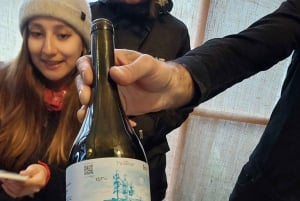 Tour de vinhos com degustação na primeira adega de Pucón
