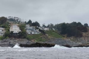 Private Day Tour Petrohue Falls & Lake Todos Santos