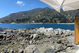 Private Day Tour Petrohue Falls & Lake Todos Santos