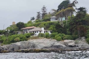 Private Day Tour Petrohue Falls & Lake Todos Santos