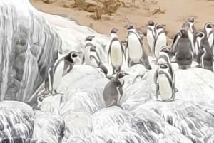 Private Day Tour Petrohue Falls & Lake Todos Santos