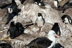 Private Day Tour Petrohue Falls & Lake Todos Santos