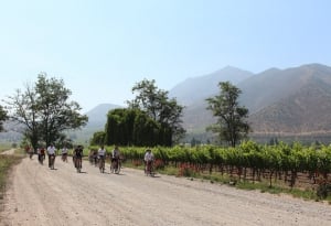 Bike and Wine - Santa Rita Winery