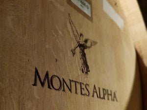 Experience the birth of Montes Icon Wines