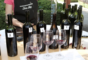 Winemaker Experience - Santa Rita Winery