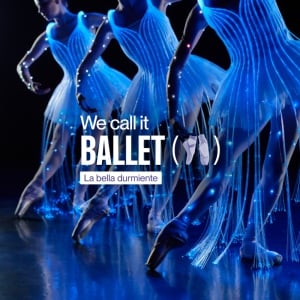 We call it Ballet: Dance and Light Show of Sleeping Beauty