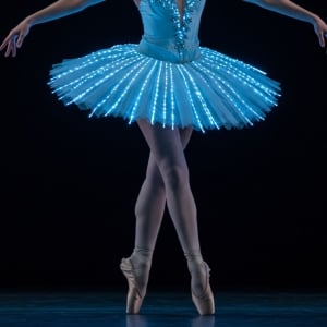 We call it Ballet: Dance and Light Show of Sleeping Beauty
