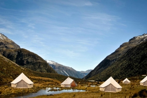 #1 Unforgettable Christchurch Glamping Accommodation