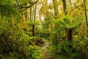 2-day Overnight Hurunui River Hot Springs Hike or Bike