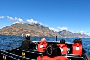 Milford Sound, Mount Cook & More: 4 Day Tour from Auckland