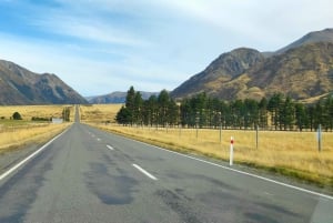 5 Day South Island NZ Tour from Dunedin to Christchurch