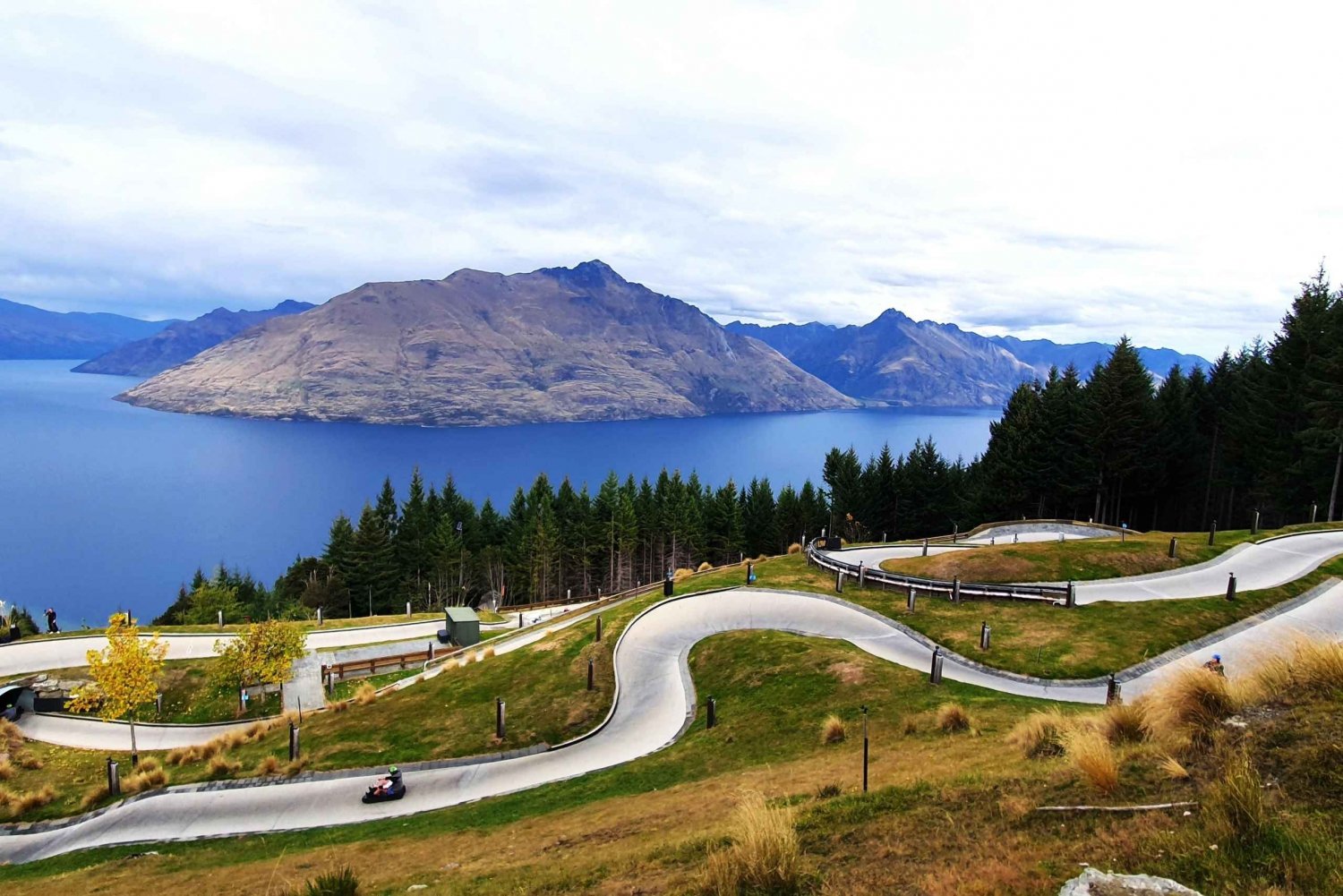 6 Day South Island NZ Private Tour from Auckland