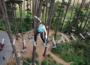 Best Christchurch Family Activities