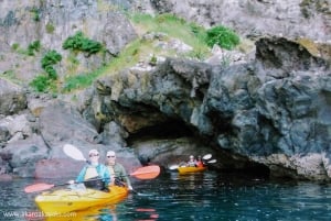 Akaroa: Akaroa Marine Reserve Havkajak-tur