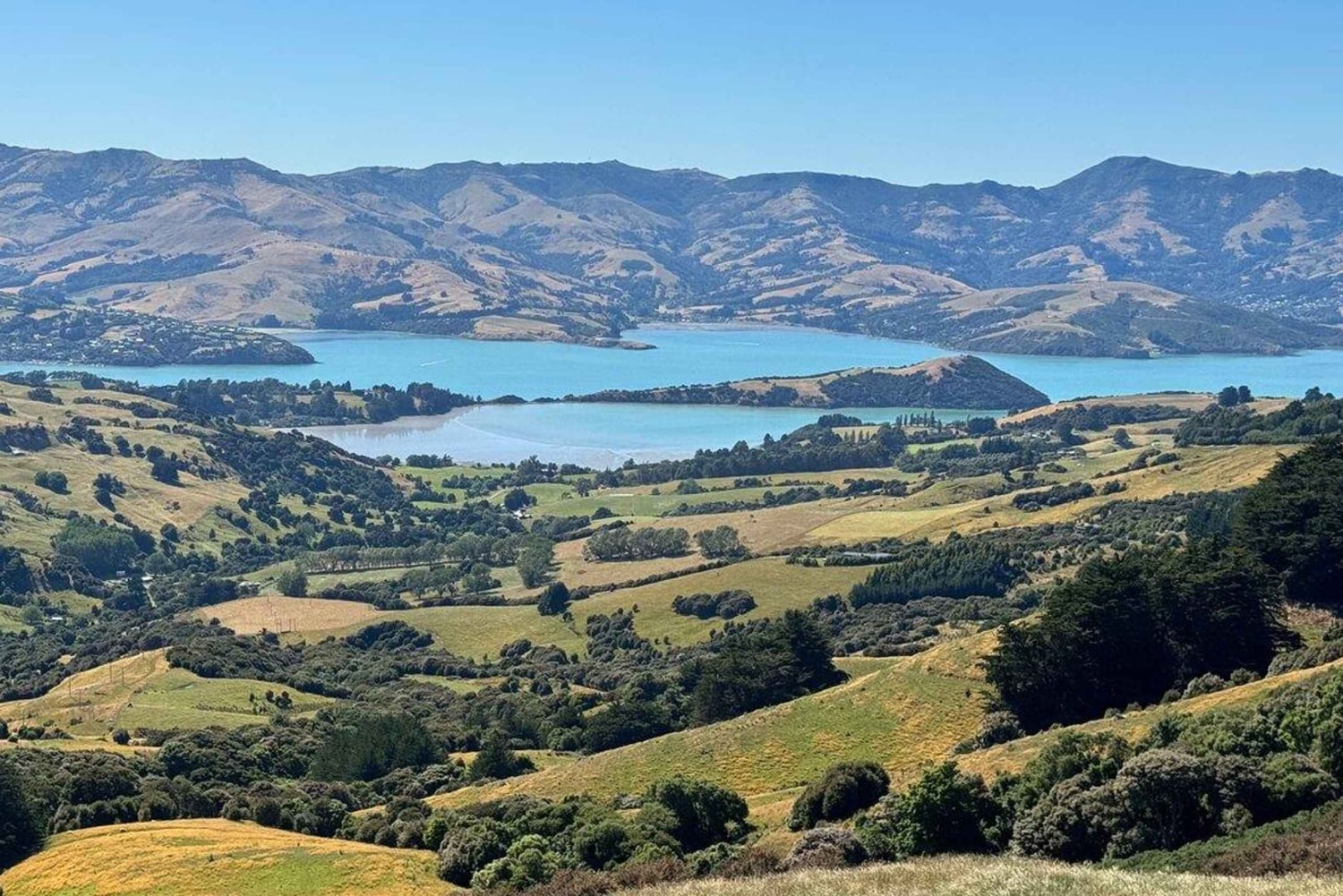 Akaroa: Dagstur fra Christchurch