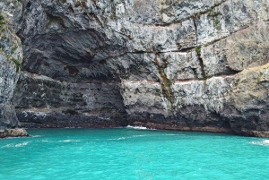 Akaroa: Dagstur fra Christchurch