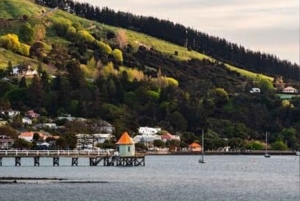 Akaroa: Dagstur fra Christchurch