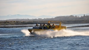 Alpine Jet Thrills - Braided Shallows