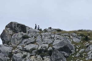Arthur’s Pass Alpine Explorer Day Tour from Christchurch
