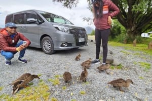 Arthur’s Pass Alpine Explorer Day Tour from Christchurch