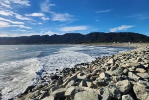 Arthur's Pass Tour vanuit Christchurch via CHC-GRZ TranzAlpine