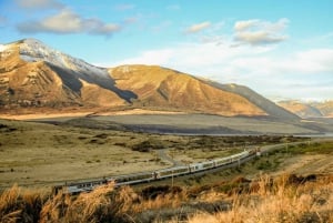 Arthur's Pass: TranzAlpine Train and Castle Hill Day Tour
