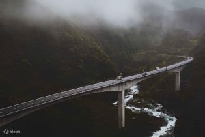 クライストチャーチ発アーサーズ・パスとキャッスル・ヒル日帰りツアー