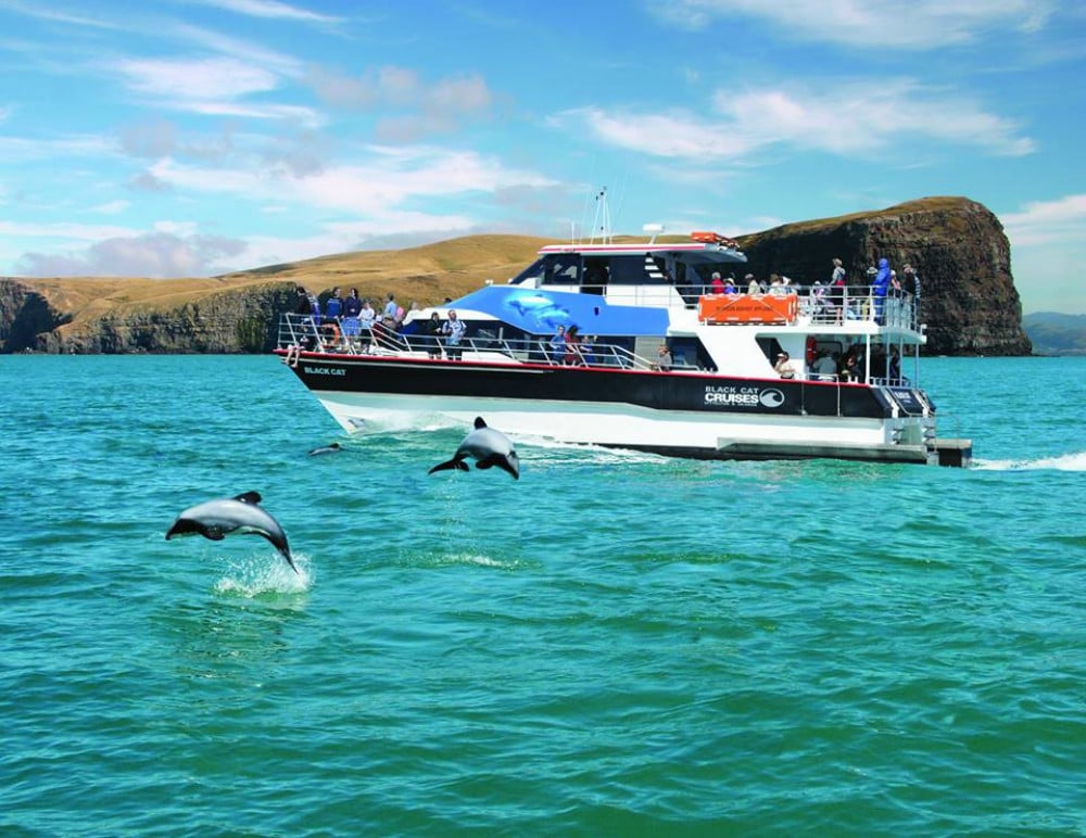 Best Christchurch Boat Trips
