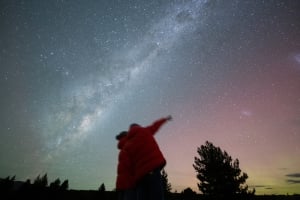 Chameleon Stargazing