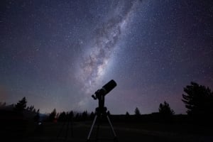 Chameleon Stargazing