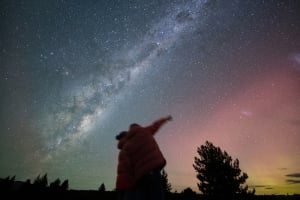 Chameleon Stargazing