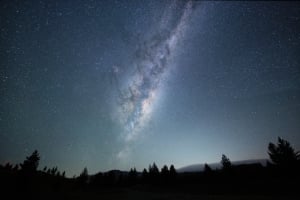 Chameleon Stargazing