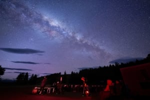 Chameleon Stargazing