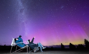 Chameleon Stargazing