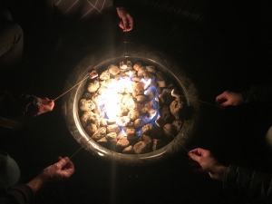 Chameleon Stargazing