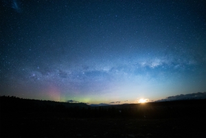 Chameleon Stargazing