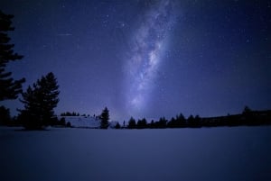 Chameleon Stargazing
