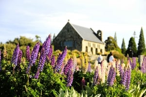 Christchurch: 2-Day Mt Cook & Lake Tekapo Stargazing Tour