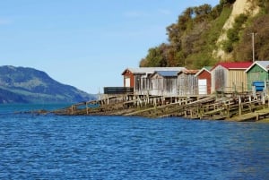 Christchurch: Dagstur til Akaroa og Banks Peninsula